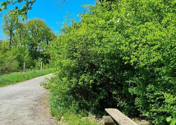 Lolek Appartement Brilon