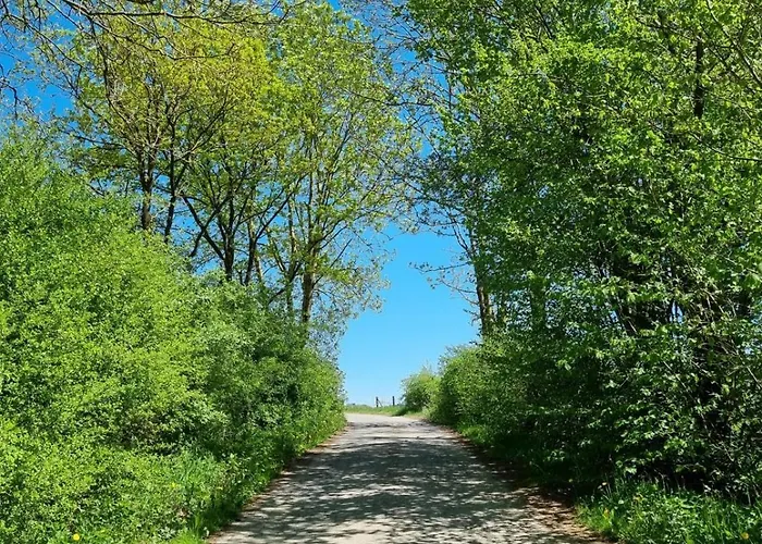 Lolek Lejlighed Brilon